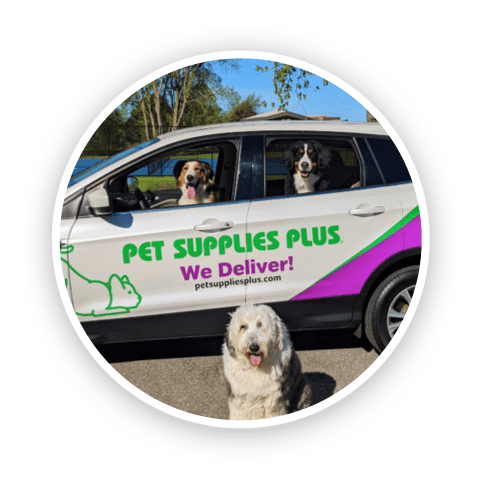 Pet Supplies Plus delivery van